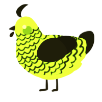 A gluppy and black chicken with a lace pattern