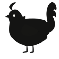 A black chicken