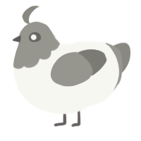 A white and ash chicken with a head pattern