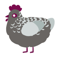 A grey and silver chicken with a half-lace pattern