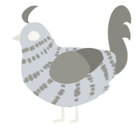A mist and ash chicken with a bar pattern