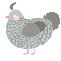 A silver and ash chicken with a lace pattern