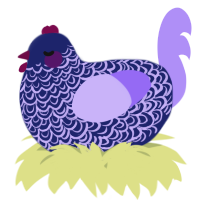 A navy and lilac chicken with a double-lace pattern