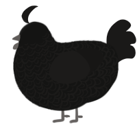 A black and sable chicken with a double-lace pattern