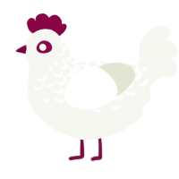 A white chicken with a half-lace pattern