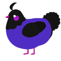 A indigo and black chicken with a head pattern