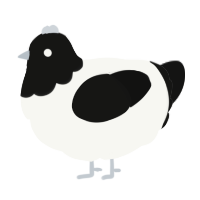 A white and black chicken with a head pattern