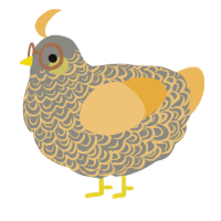 A ash and honey chicken with a double-lace pattern
