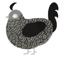 A ash and sable chicken with a double-lace pattern
