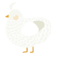 A white chicken with a lace pattern