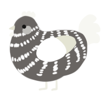A grey and white chicken with a bar pattern