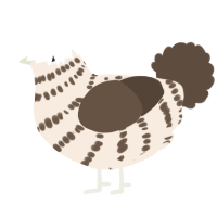 A cream and bark chicken with a bar pattern