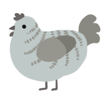 A silver and ash chicken with a half-bar pattern