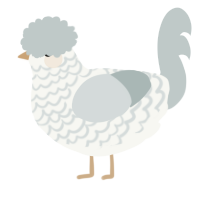 A white and silver chicken with a lace pattern