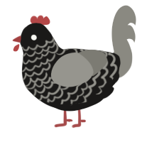A sable and ash chicken with a lace pattern