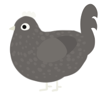 A grey chicken with a speckle pattern