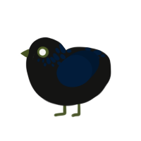 150 egg, a black and tumblr chicken with a neck-speckle pattern