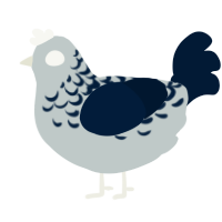 A silver and tumblr chicken with a half-lace pattern