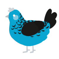 A cerulean and sable chicken with a half-lace pattern