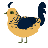A honey and tumblr chicken with a half-lace pattern