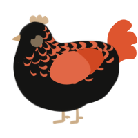 A black and vermilion chicken with a half-lace pattern