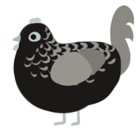 A sable and ash chicken with a half-lace pattern