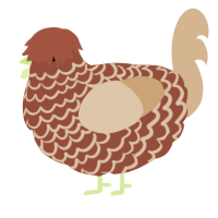 A russet and beige chicken with a lace pattern
