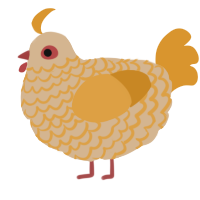 A beige and orange chicken with a lace pattern