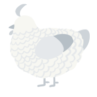 A white and mist chicken with a lace pattern