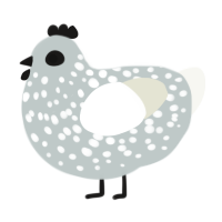 A silver and white chicken with a speckle pattern