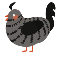 A grey and black chicken with a bar pattern