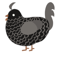 A sable and grey chicken with a lace pattern
