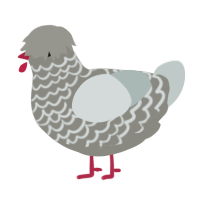 A ash and silver chicken with a lace pattern