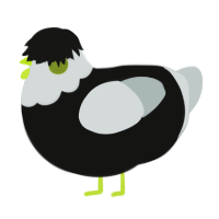 A black and silver chicken with a head pattern