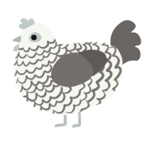 A white and grey chicken with a lace pattern