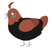 A sable and russet chicken with a head pattern