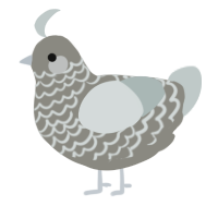 A ash and silver chicken with a lace pattern
