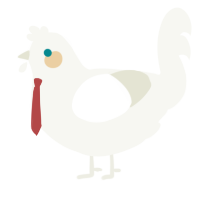 A white chicken