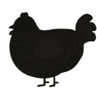 A black and sable chicken with a lace pattern