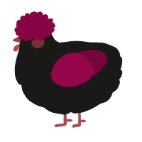 A sable and maroon chicken