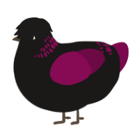 A sable and wine chicken with a neck-band pattern