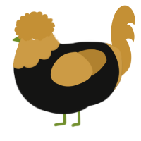 A black and gold chicken with a head pattern