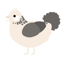 A cream and grey chicken with a neck-speckle pattern