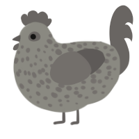 A ash and grey chicken with a speckle pattern