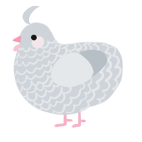 A mist chicken with a lace pattern
