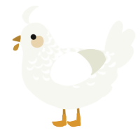 A white chicken with a half-lace pattern