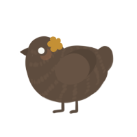 A bark chicken with a bar pattern
