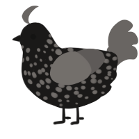 A sable and grey chicken with a speckle pattern