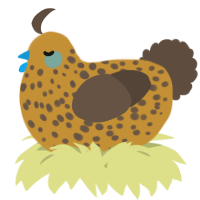 A gold and bark chicken with a speckle pattern
