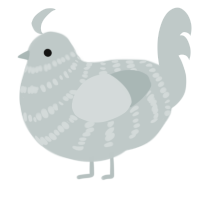 A silver chicken with a bar pattern